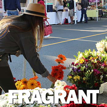 Claremont Farmers and Artisans Market