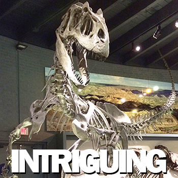 Raymond M. Alf Museum of Paleontology